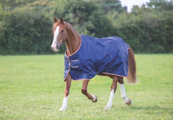 Shires Typhoon Rug or Combo